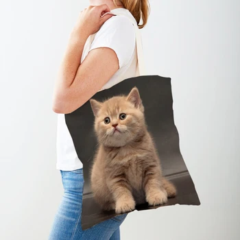 Женская холщовая сумка-тоут с милым кошачьим принтом, многоразовые синие сумки для покупок из британской короткошерстной породы, двусторонняя повседневная сумка для покупок для женщин